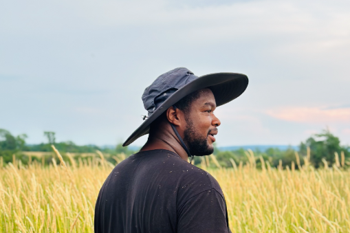 vegetables